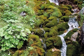 Kolumne Licht und Hoffnung